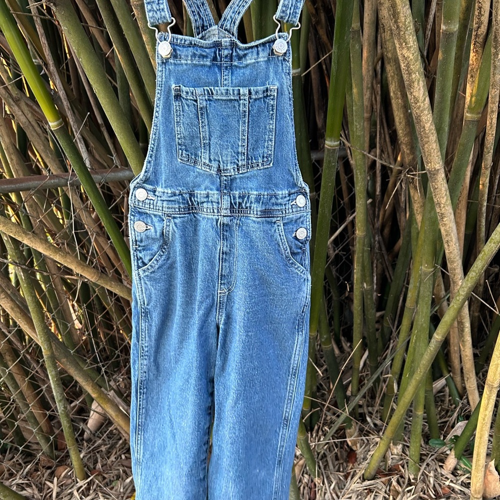 Blue Denim Overalls